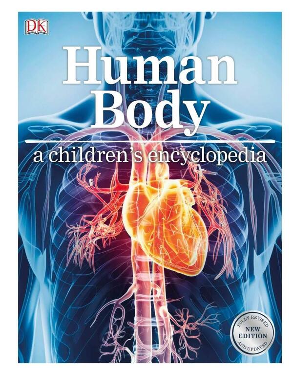 Human Body A Children's Encyclopedia / Human Body A Children's Encyclopedia  9780241323069-1