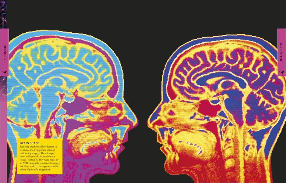 Human Body A Children's Encyclopedia / Human Body A Children's Encyclopedia  9780241323069-3