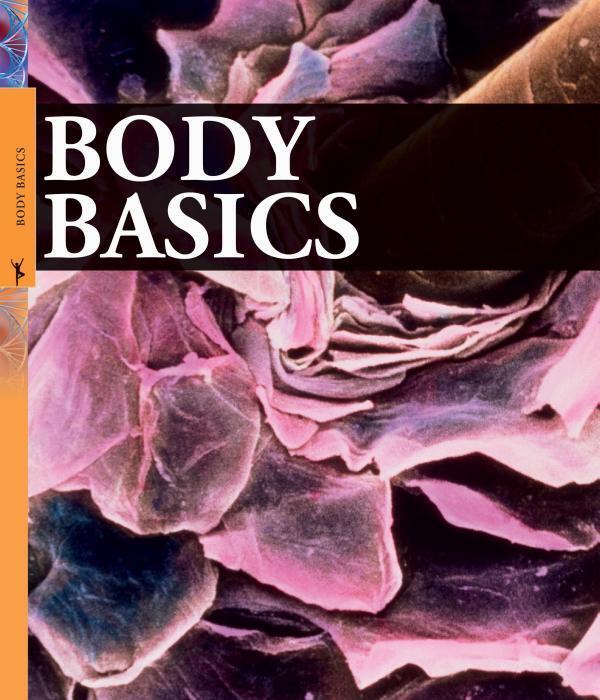 Human Body A Children's Encyclopedia / Human Body A Children's Encyclopedia  9780241323069-6