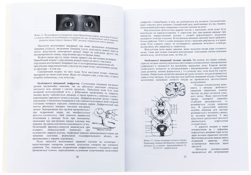Human ailments as body diseases, psyche, character and upbringing / Людські недуги, як хвороби тіла, психіки, характеру і виховання Богдан Западнюк 978-617-520-279-1-6