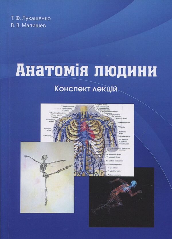 Human anatomy. Synopsis of lectures / Анатомія людини. Конспект лекцій Татьяна Лукашенко, В. Малишев -1