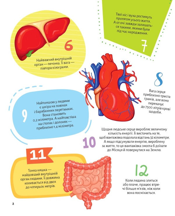 Human body. 100 interesting facts / Тіло людини. 100 цікавих фактів  9789669829894-3