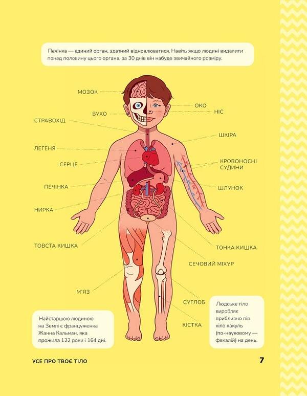 Human body. Developmental tasks for children / Тіло людини. Розвивальні завдання для дітей  9789669425218-5