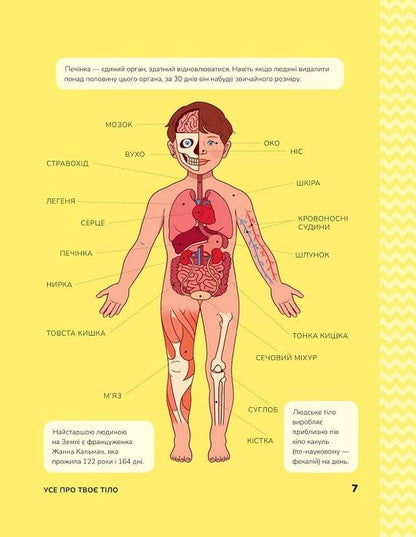 Human body. Developmental tasks for children / Тіло людини. Розвивальні завдання для дітей  9789669425218-5