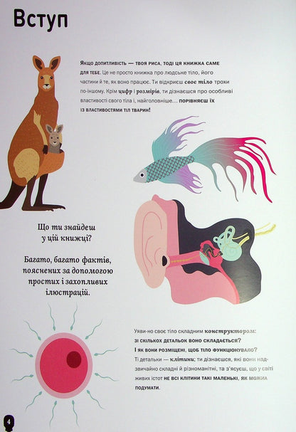 Human body / Тіло людини Кристина Перабони 978-617-7853-19-9-5