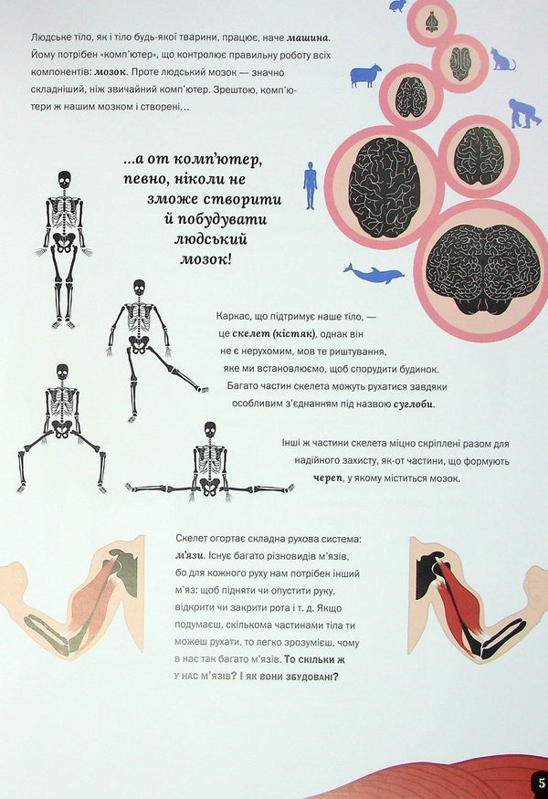 Human body / Тіло людини Кристина Перабони 978-617-7853-19-9-6