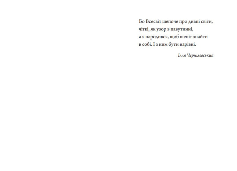 I Am A Bird Between Tenet / Я птах між тенет Ilya Chernylevsky, Anna Filey / Ілля Чернілевський, Анна Філей 9789663871370-3