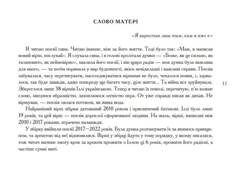 I Am A Bird Between Tenet / Я птах між тенет Ilya Chernylevsky, Anna Filey / Ілля Чернілевський, Анна Філей 9789663871370-6