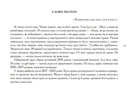I Am A Bird Between Tenet / Я птах між тенет Ilya Chernylevsky, Anna Filey / Ілля Чернілевський, Анна Філей 9789663871370-6