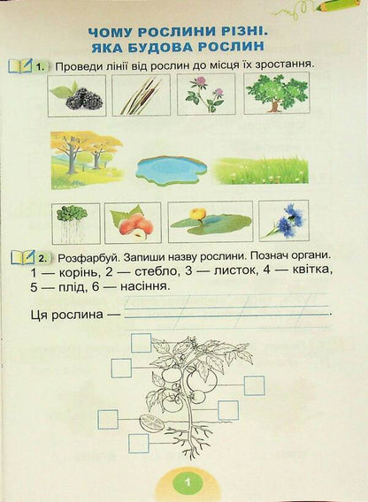 I Explore The World. 1St Class. Workbook. Part 2 / Я досліджую світ. 1 клас. Зошит-практикум. Частина 2 Tatiana Hilberg, Svetlana Tarnavskaya / Тетяна Гільберг, Світлана Тарнавська 9786178370541-3