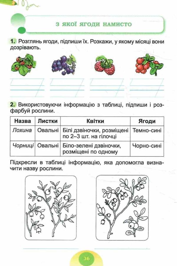 I Explore The World. Grade 2. Notebook. Part 2 / Я досліджую світ. 2 клас. Зошит-практикум. Частина 2 Tatiana Gilberg, Svetlana Tarnavskaya / Тетяна Гілберг, Світлана Тарнавська 9786178370572-6