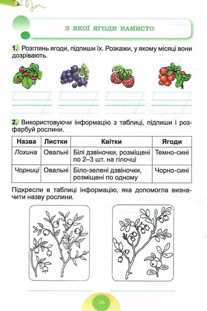 I Explore The World. Grade 2. Notebook. Part 2 / Я досліджую світ. 2 клас. Зошит-практикум. Частина 2 Tatiana Gilberg, Svetlana Tarnavskaya / Тетяна Гілберг, Світлана Тарнавська 9786178370572-6