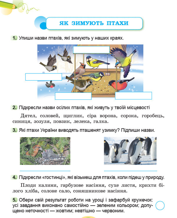 I Explore The World. Grade 2. Workbook On Integrated Course. Part 2 / Я досліджую світ. 2 клас. Робочий зошит з інтегрованого курсу. Частина 2 Tatiana Gilberg, Svetlana Tarnavskaya, now a peacock / Тетяна Гілберг, Світлана Тарнавська, Ніна Павіч 9786178370060-3