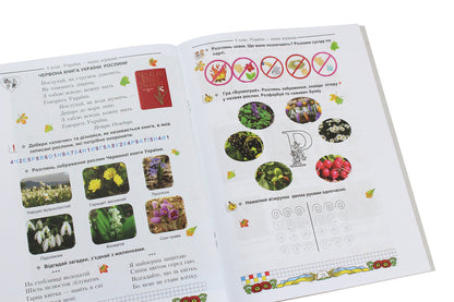 I Love Ukraine. Integrated Manual-Workbook On Ukrainian Studies For 1St Grade. Part 1 / Я люблю Україну. Інтегрований посібник-зошит з українознавства для 1 класу. Частина 1 Maria Chabayovskaya / Марія Чабайовська 9789663087221-5