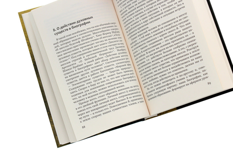 I am who I could be. Chances of development in the biography. From the experience of biographical counseling / Я тот, кем мог бы стать. Шансы развития в биографии. Из опыта биографического консультирования Матиас Вайс 978-617-7314-82-9-5