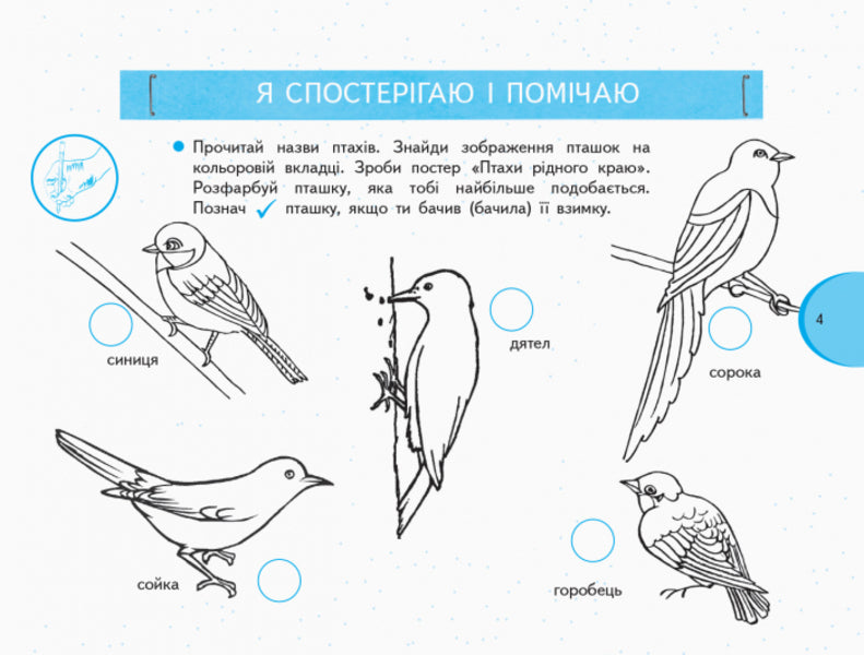 I explore the world. 1st class. Notebook-album with creative tasks. In 2 parts. Part 2 / Я досліджую світ. 1 клас. Зошит-альбом із творчими завданнями. У 2 частинах. Частина 2 Ольга Таглина, Галина Иванова 9786170949806-5