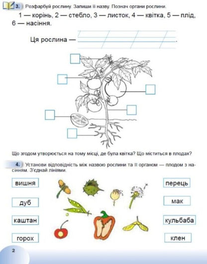 I explore the world. 1st class. Workbook from the integrated course. Part 2 / Я досліджую світ. 1 клас. Робочий зошит з інтегрованого курсу. Частина 2 Татьяна Гильберг, Нина Павич, Светлана Тарнавская 978-966-11-1347-2-3