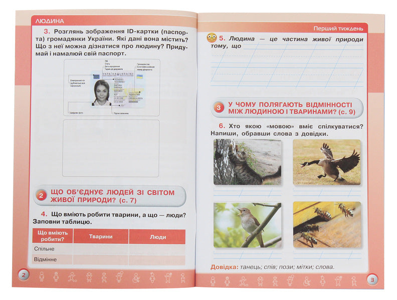 I explore the world. 3rd grade A workbook. In 2 parts. Part 1 / Я досліджую світ. 3 клас. Робочий зошит. У 2 частинах. Частина 1 Ирина Грущинская, Зоя Хитрая 978-966-991-031-8-3