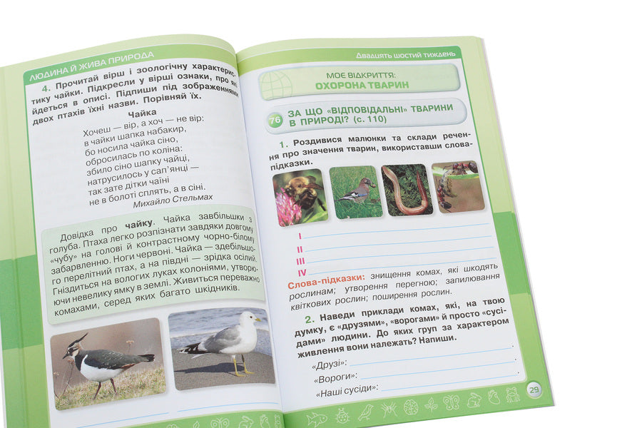 I explore the world. 3rd grade A workbook. In 2 parts. Part 2 / Я досліджую світ. 3 клас. Робочий зошит. У 2 частинах. Частина 2 Ирина Грущинская, Зоя Хитрая 978-966-991-032-5-5