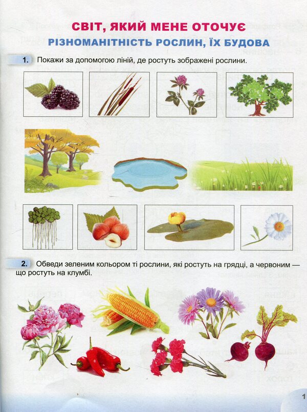 I explore the world. A workbook. 1st class. Part 2 / Я досліджую світ. Робочий зошит. 1 клас. Частина 2 Татьяна Гильберг, Светлана Тарнавская, Нина Павич 9789661110068-3