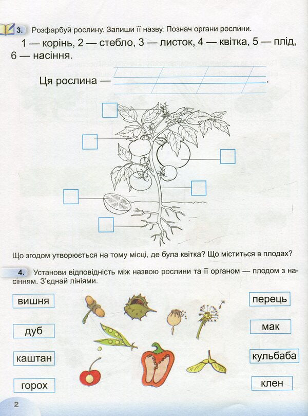 I explore the world. A workbook. 1st class. Part 2 / Я досліджую світ. Робочий зошит. 1 клас. Частина 2 Татьяна Гильберг, Светлана Тарнавская, Нина Павич 9789661110068-4