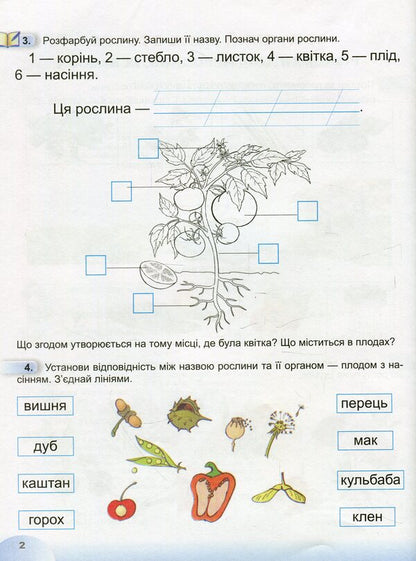 I explore the world. A workbook. 1st class. Part 2 / Я досліджую світ. Робочий зошит. 1 клас. Частина 2 Татьяна Гильберг, Светлана Тарнавская, Нина Павич 9789661110068-4