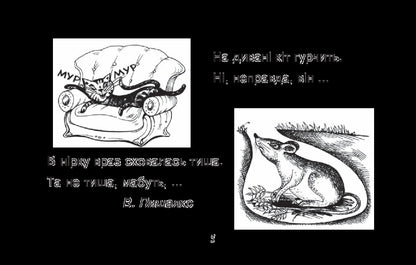 I learn to read carefully / Вчуся читати уважно Наталия Шост 978-966-10-1360-4-5