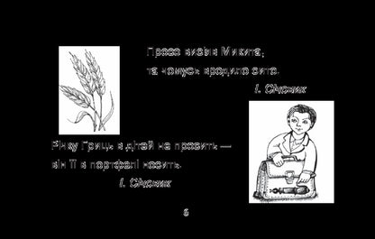 I learn to read carefully / Вчуся читати уважно Наталия Шост 978-966-10-1360-4-6