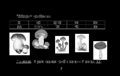 I learn to read quickly / Вчуся читати швидко Наталия Шост 978-966-10-1361-1-5