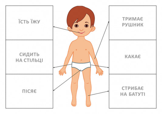 I'm growing up. Sexual education. Training and development cards / Я дорослішаю. Статеве виховання. Навчально-розвивальні картки В. Шевченко, Наталия Никоненко 9789667501785-2