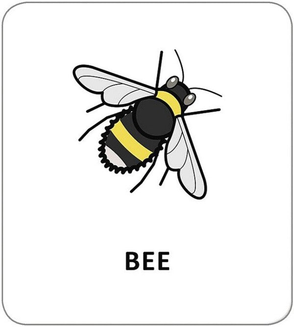 Icon Cards. Animals / Картки з піктограмами. Тварини / Author not specified 9789667616281-4