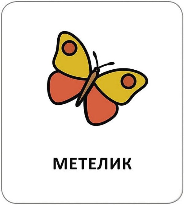 Icon Cards. Animals / Картки з піктограмами. Тварини / Author not specified 9789667616281-5