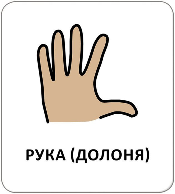 Icon Cards. Hygiene. My Body / Картки з піктограмами. Гігієна. Моє тіло / Author not specified 9789667616304-4
