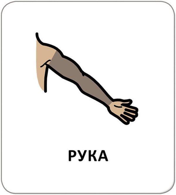 Icon Cards. Hygiene. My Body / Картки з піктограмами. Гігієна. Моє тіло / Author not specified 9789667616304-5
