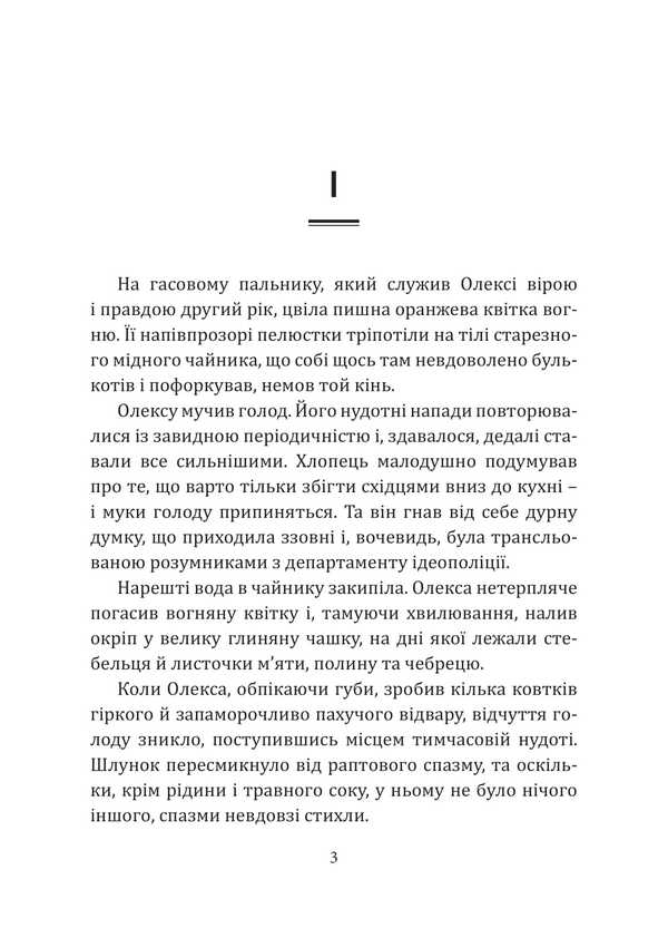 Ideopolis / Ідеополіс Roman Rosytskyi / Роман Росицький 9786178739027-3