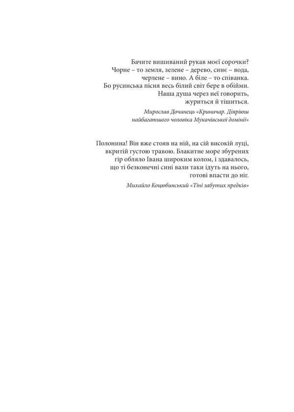Illusions Beyond The Horizon: A Dictionary Of Elegant Language / Гарнослів’я за обрієм : словник вишуканої мови Taras Bereza / Тарас Береза 9789661091534-2