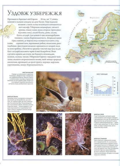 Illustrated Atlas Animal World - люстрований атлас Свт тварин Susan Lumpkin, Chana Bambaradenia, David Woodruff, Joshua Ginsberg, Patrick Kuitly - Сьюзан Лемпкн, Чана Бамбараденя, Девд Вудрафф, Джошуа нзберг, Патрк Кутл 9789669170477,9785389025059,9781921530005-6