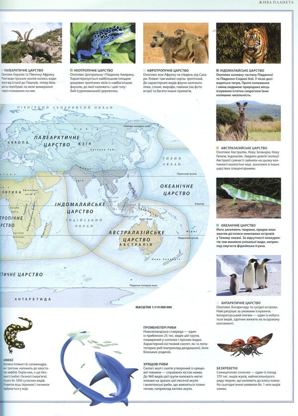 Illustrated Atlas Animal World - люстрований атлас Свт тварин Susan Lumpkin, Chana Bambaradenia, David Woodruff, Joshua Ginsberg, Patrick Kuitly - Сьюзан Лемпкн, Чана Бамбараденя, Девд Вудрафф, Джошуа нзберг, Патрк Кутл 9789669170477,9785389025059,9781921530005-5