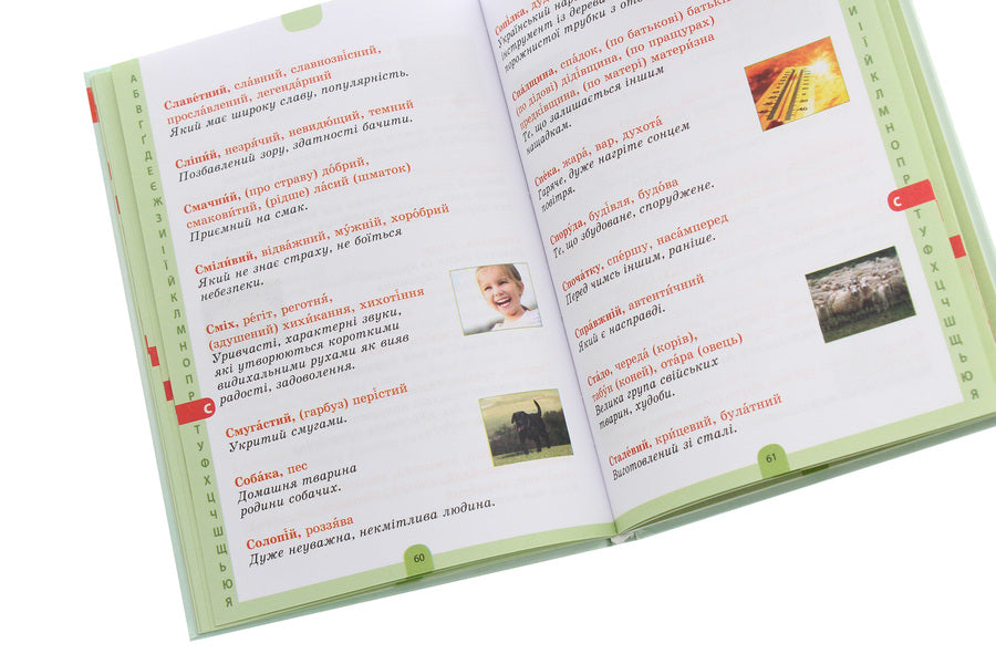 Illustrated Dictionary Of Synonyms, Antonyms. 1-4 Classes / Ілюстрований словник синонимів, антонимів. 1-4 класи Lydia Tkachenko, Iryna Kupina / Лідія Ткаченка, Ірина Купіна 9786170036292-5