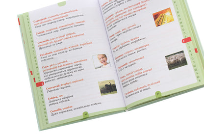 Illustrated Dictionary Of Synonyms, Antonyms. 1-4 Classes / Ілюстрований словник синонимів, антонимів. 1-4 класи Lydia Tkachenko, Iryna Kupina / Лідія Ткаченка, Ірина Купіна 9786170036292-5