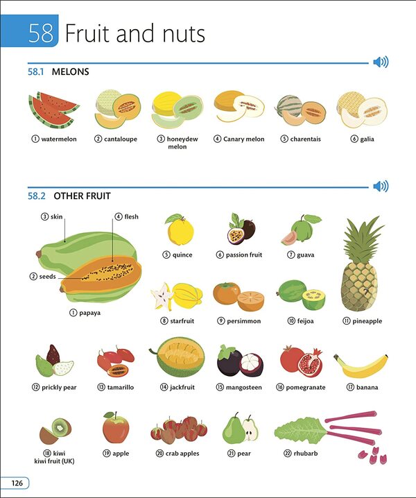 Illustrated English Dictionary / Author not specified 9780241543788-6
