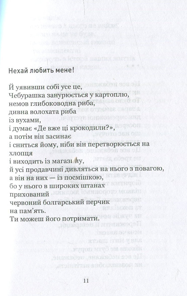 In A House Where The Bathroom Does Not Work / У хаті, де не працює санвузол Evgeniya Chuprina / Євгенія Чуприна 9786177390076-6