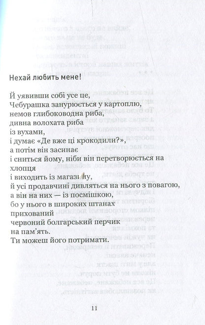 In A House Where The Bathroom Does Not Work / У хаті, де не працює санвузол Evgeniya Chuprina / Євгенія Чуприна 9786177390076-6