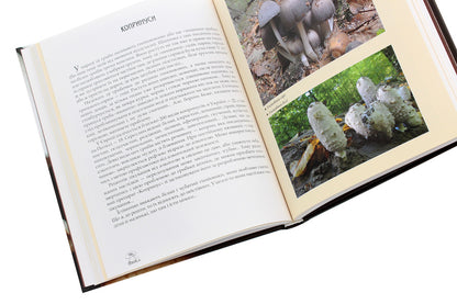 In Search Of The Mushroom Kingdom / У пошуках грибного царства Lyudmila Zhuravskaya / Людміла Журавська 9786177429417-6