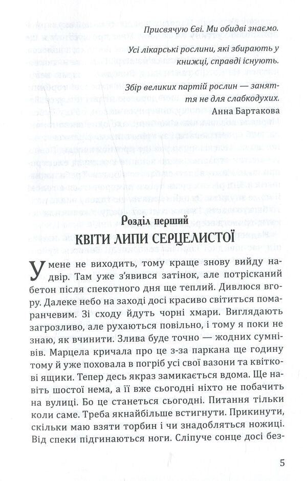 In The Dark / У темряву Anna Bolava / Анна Болава 9786170704993-4