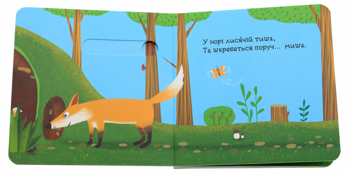 In The Forest.A Book With A Double Secret / У лісі. Книжка з подвійним секретом Vasyl Fedyenko, Sergey Tsushko / Василя Федьянко, Сергій Цушко 9789664296486-4