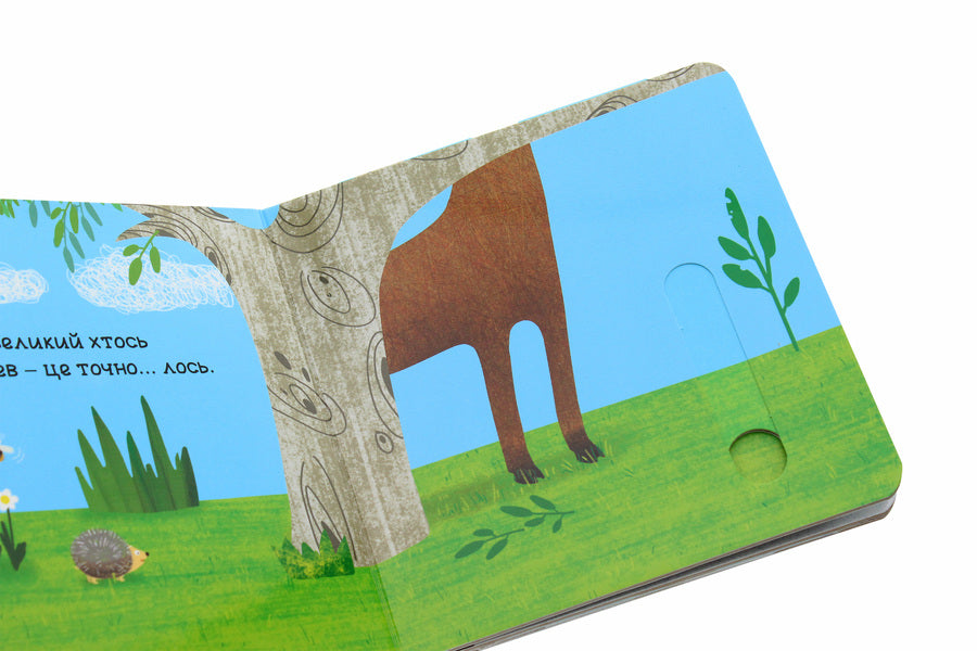 In The Forest.A Book With A Double Secret / У лісі. Книжка з подвійним секретом Vasyl Fedyenko, Sergey Tsushko / Василя Федьянко, Сергій Цушко 9789664296486-5