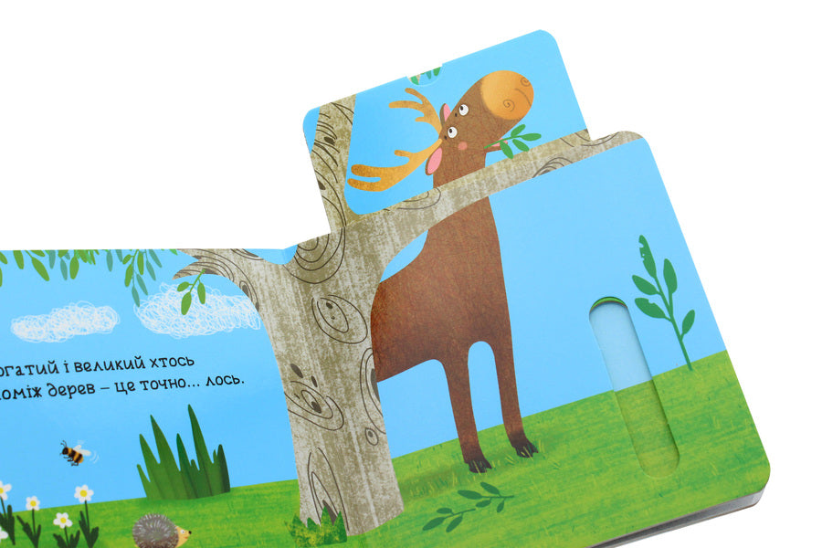 In The Forest.A Book With A Double Secret / У лісі. Книжка з подвійним секретом Vasyl Fedyenko, Sergey Tsushko / Василя Федьянко, Сергій Цушко 9789664296486-6