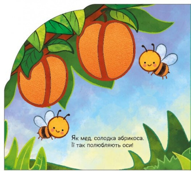 In The Garden And In The Garden / У садку і на городі Irina Sun / Ірина Сун 9789667616557-2