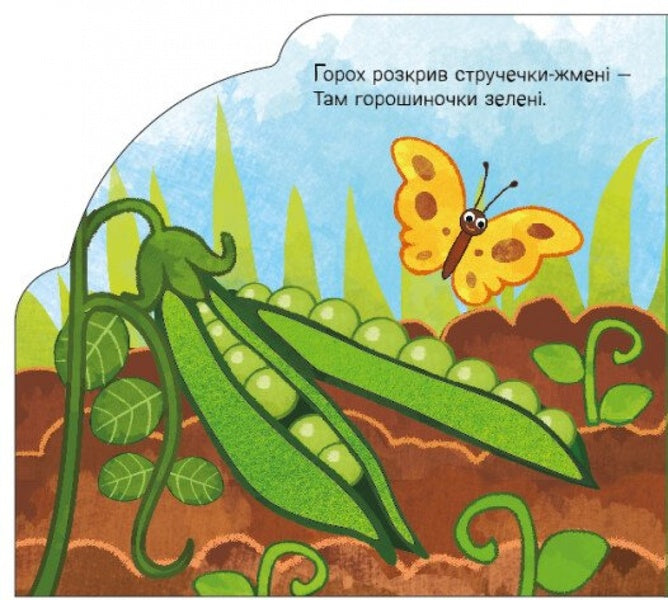 In The Garden And In The Garden / У садку і на городі Irina Sun / Ірина Сун 9789667616557-4